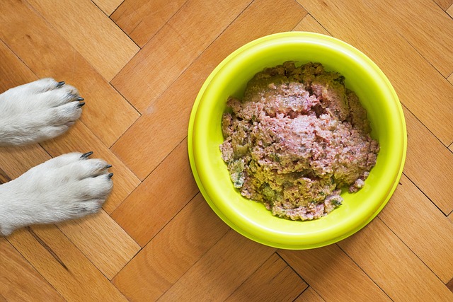 De skjulte helte i skålen: Ingredienserne i glutenfrit hundefoder, du skal kende